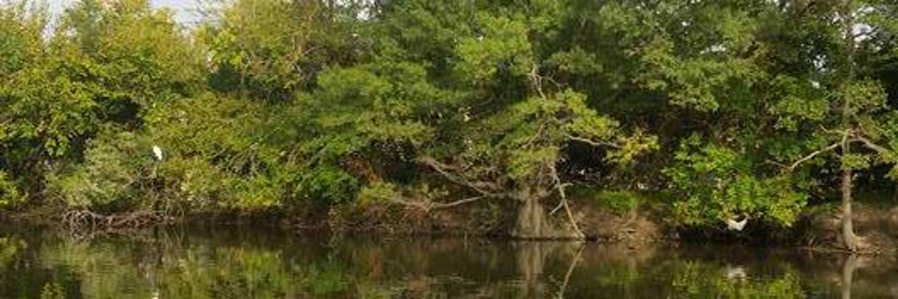 Three Branch River Grove ADF of Hampton Roads VA