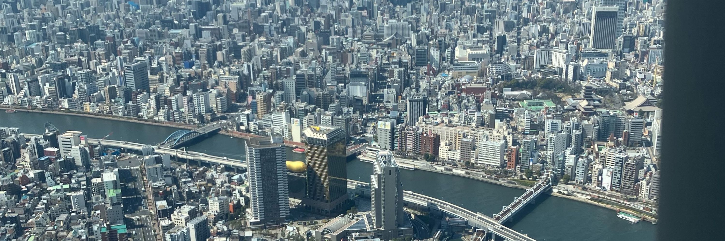 ょん