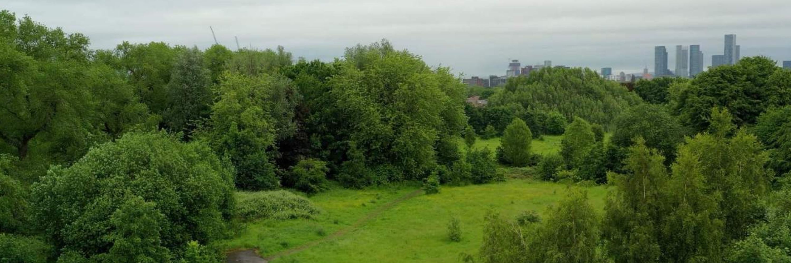 Save Ryebank Fields