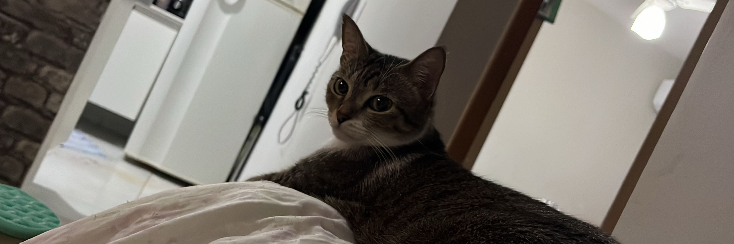 Júlia
