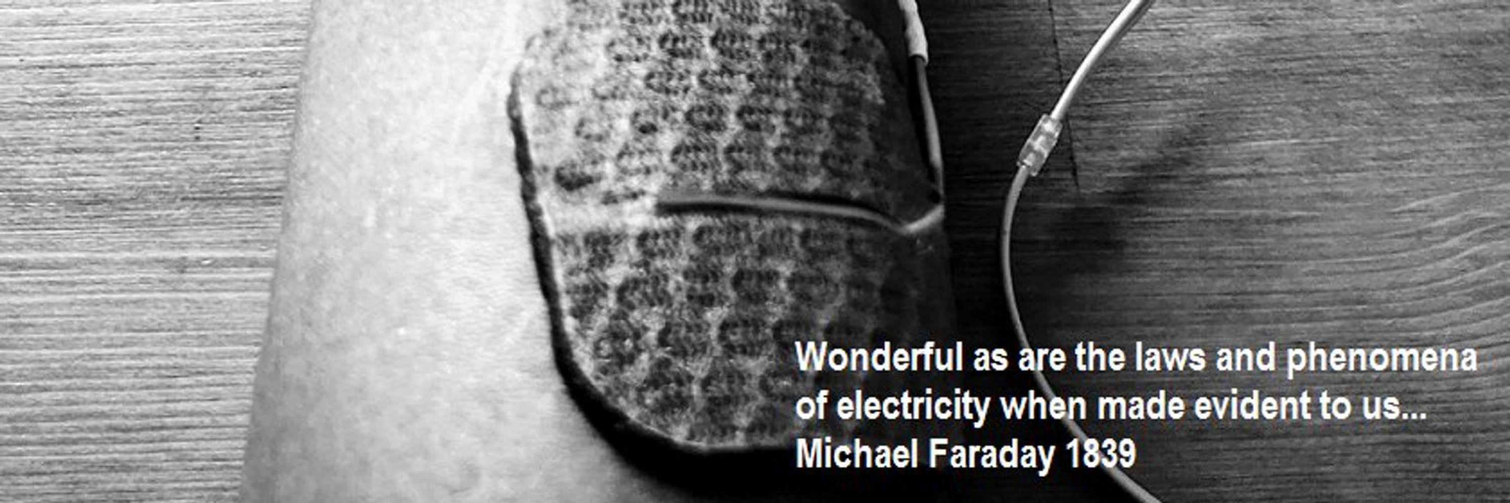 International Functional Electrical Stimulation Society