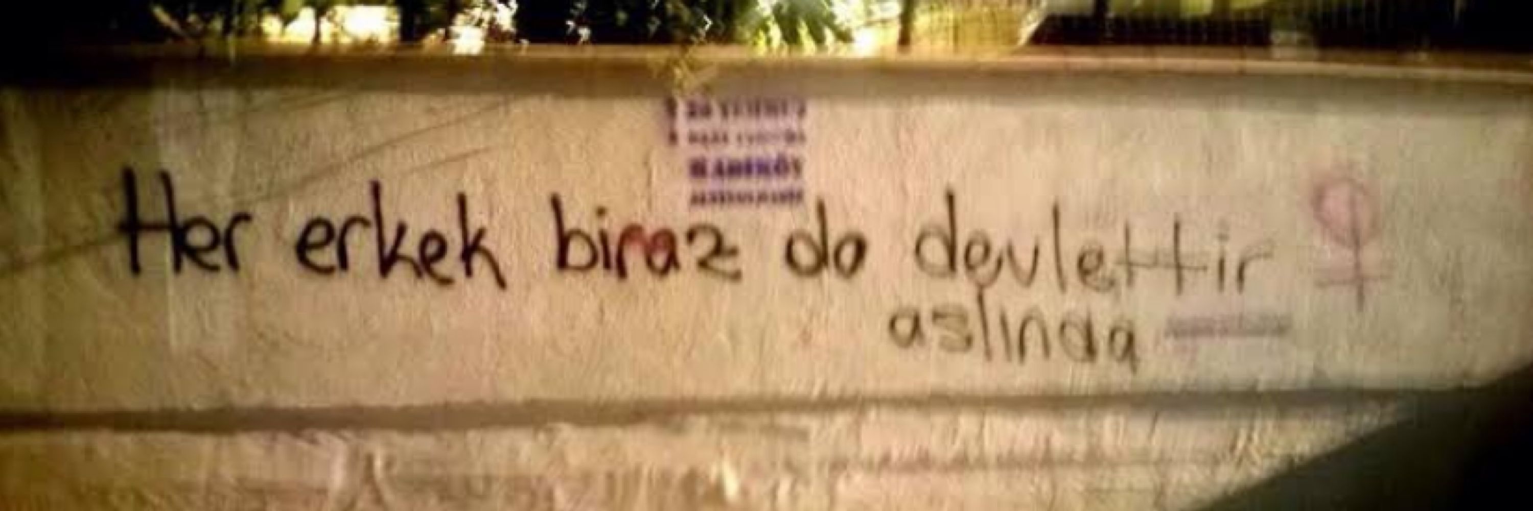  feniçka🌱