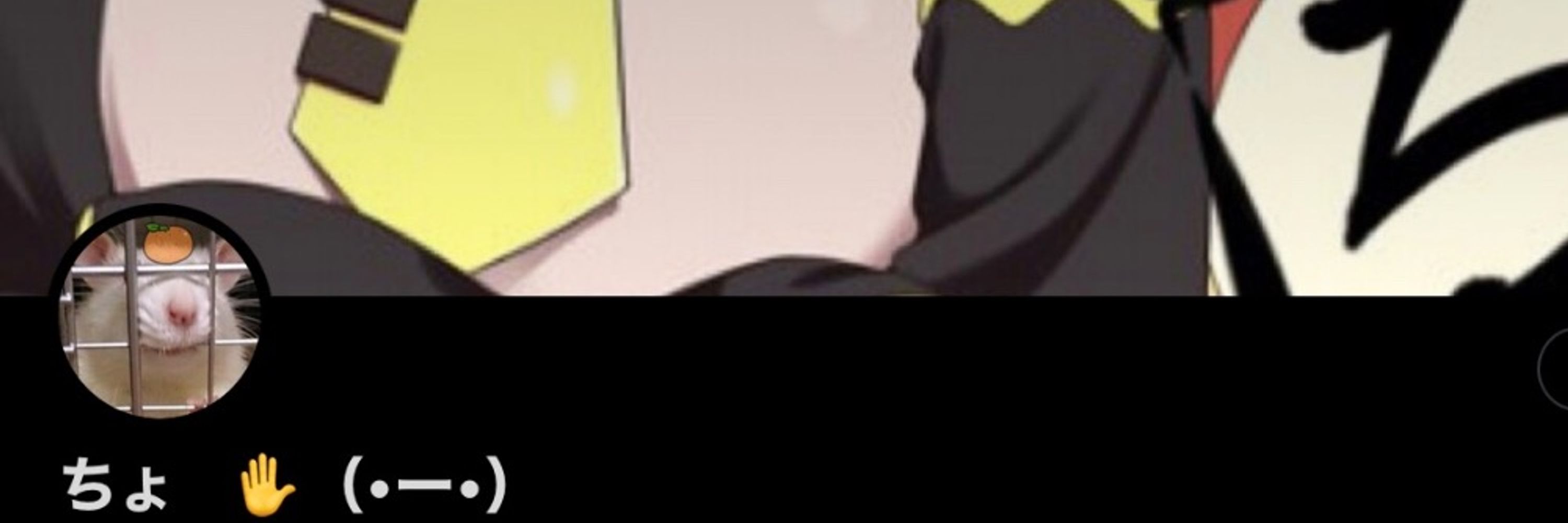 ちょ    ✋（•ー•）