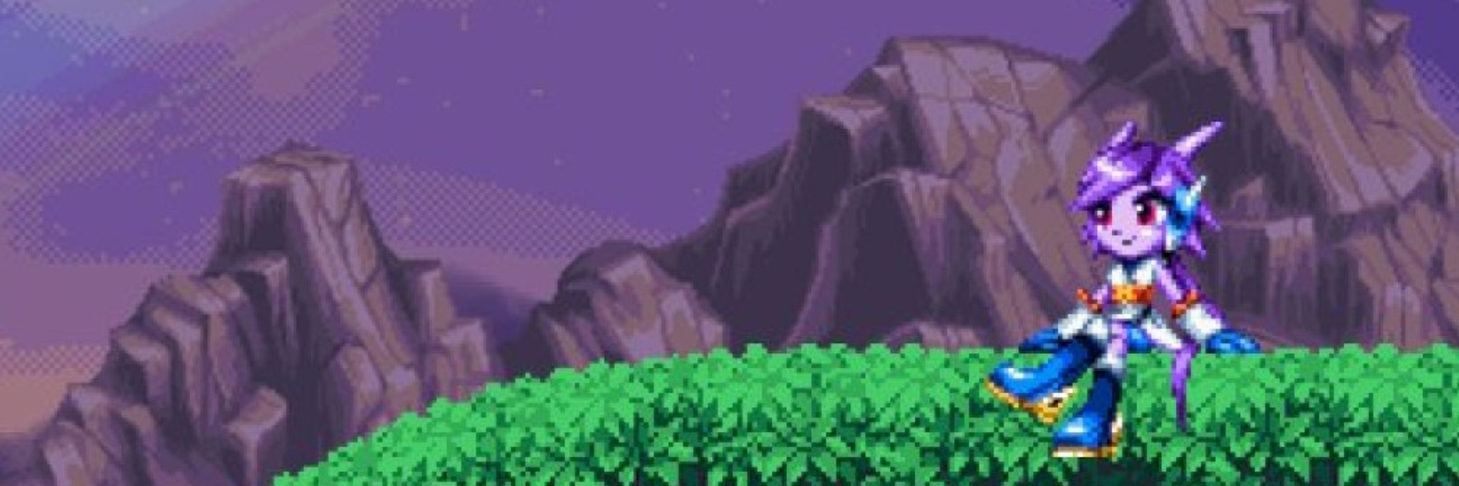 Ocanha aka "that editor guy that likes Freedom Planet too much"