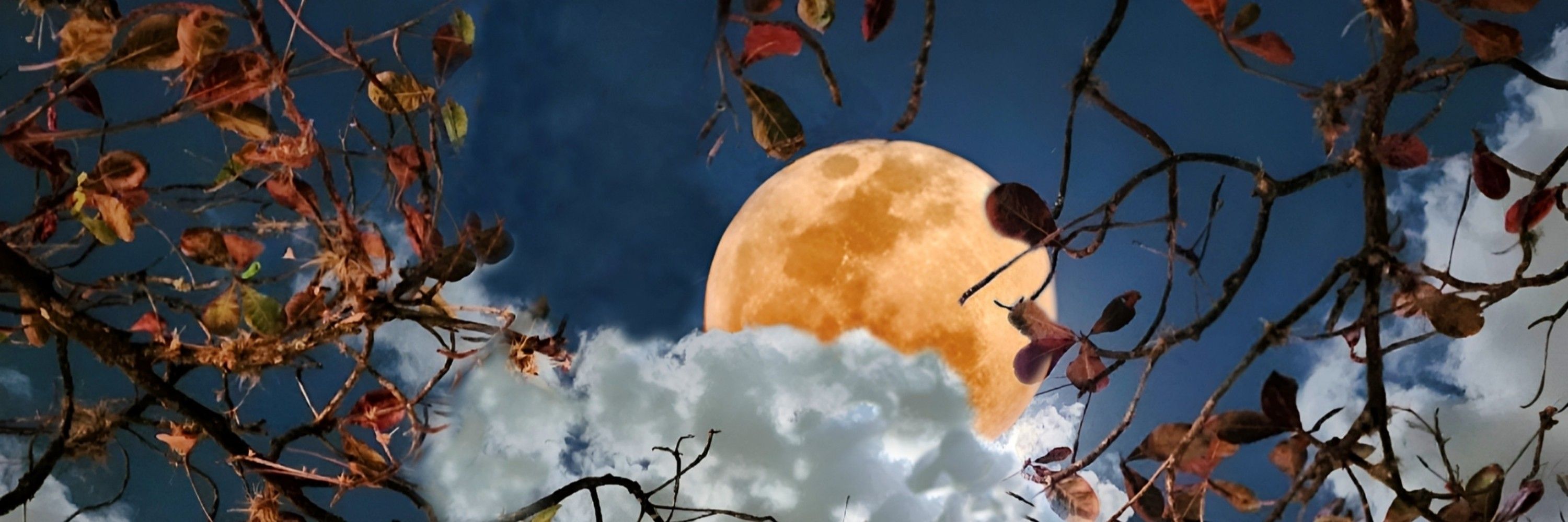 Marithê do Céu