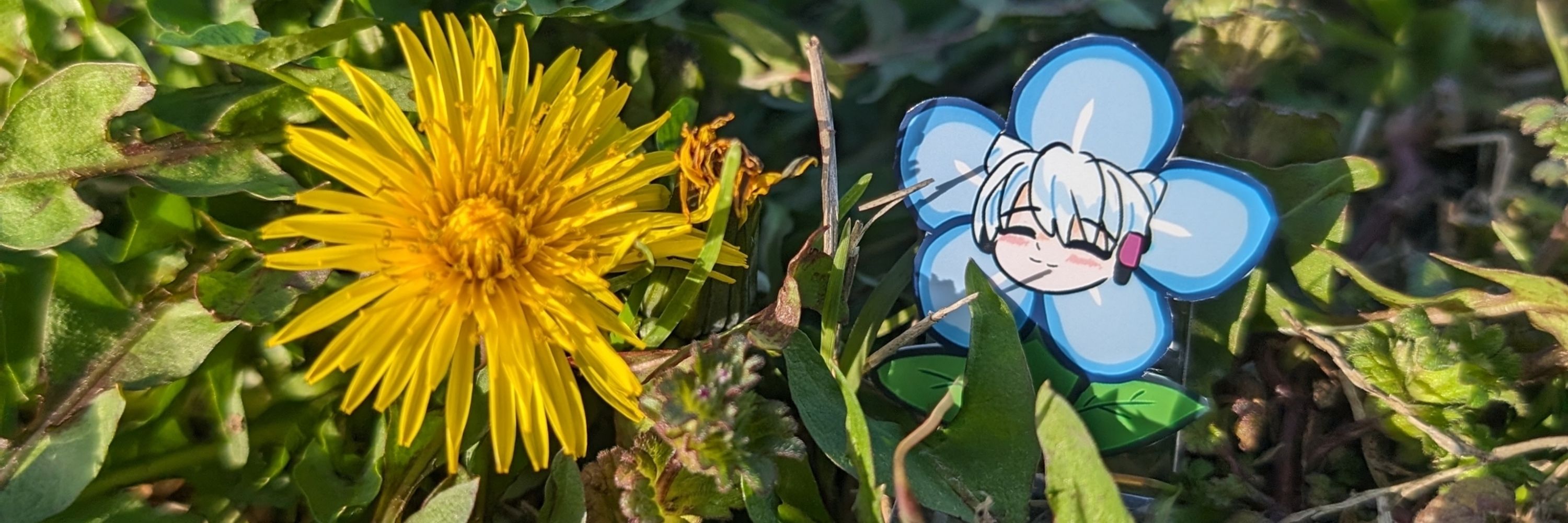 暇人ヒットスター🌻🌻