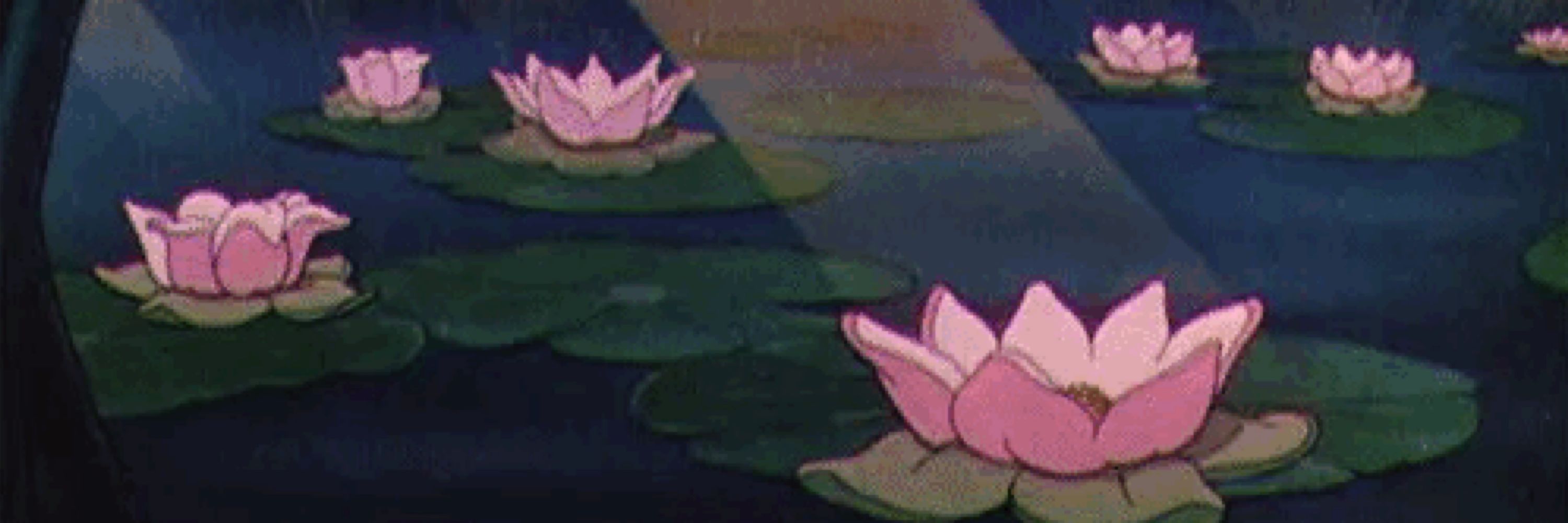 ʑơ (❀❛ ֊ ❛„)🪭