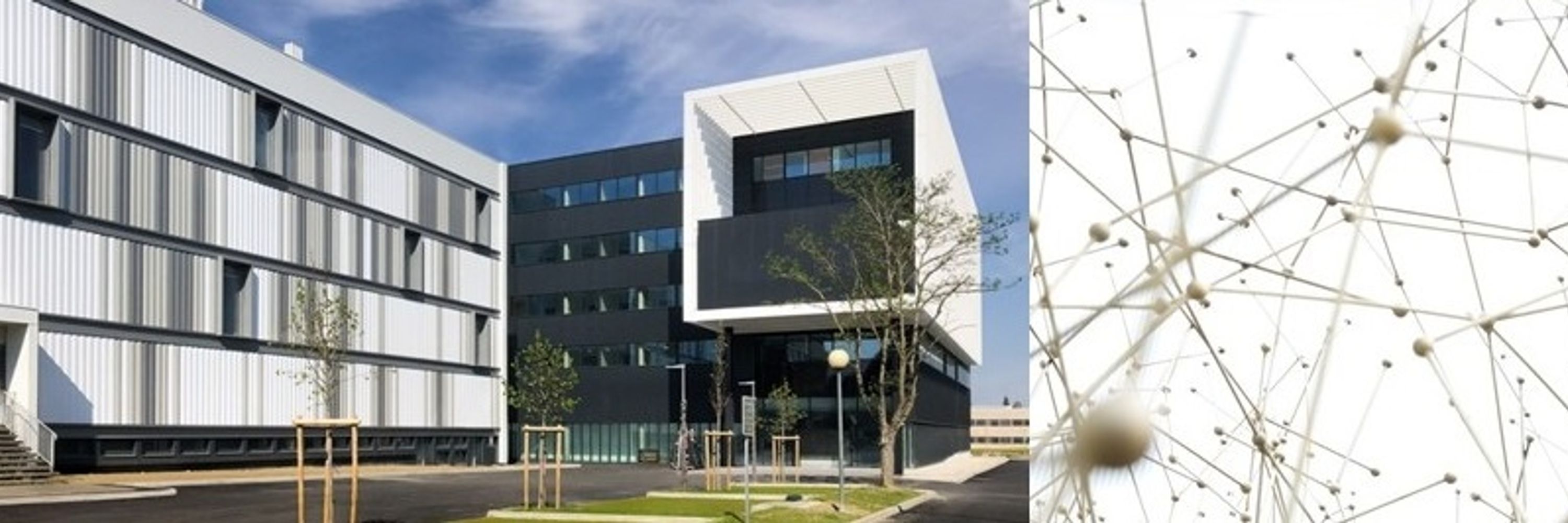 Centre for Integrative Biology
