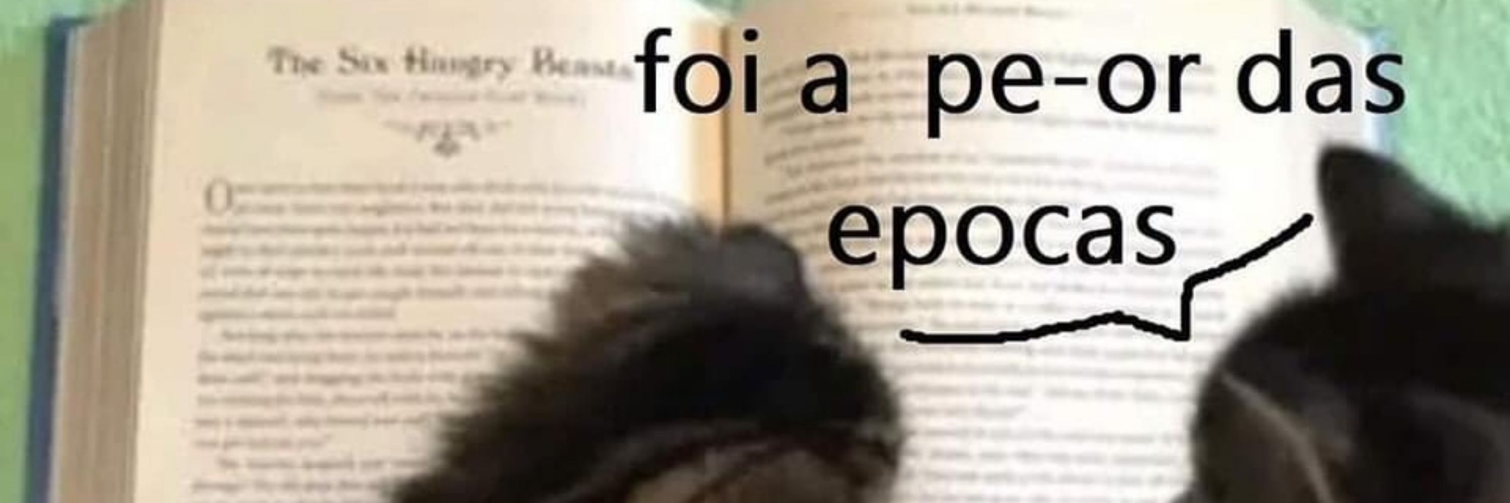 Miss Simpatia
