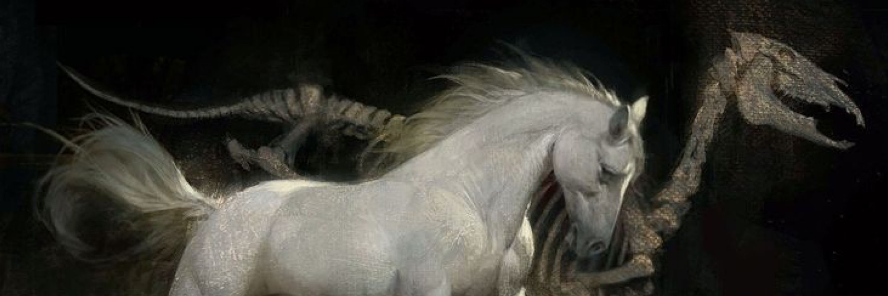 umbra