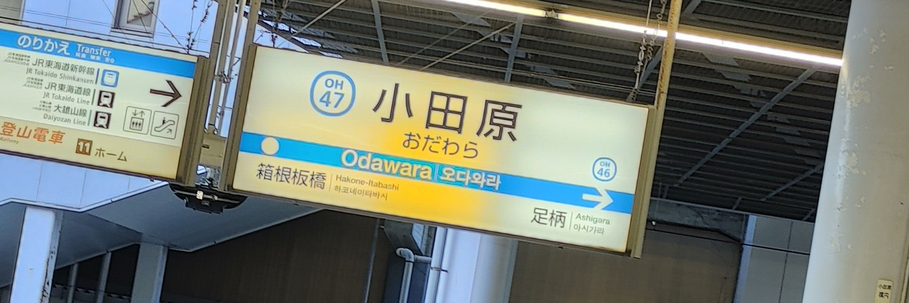 蛇巳-dami-