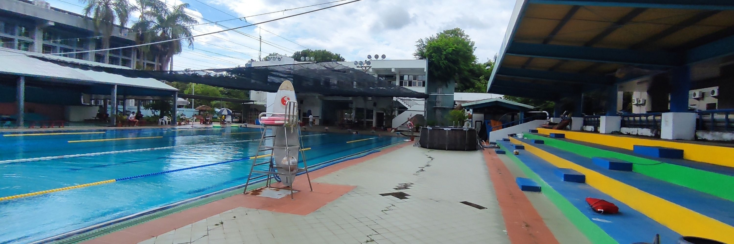 Swimbear