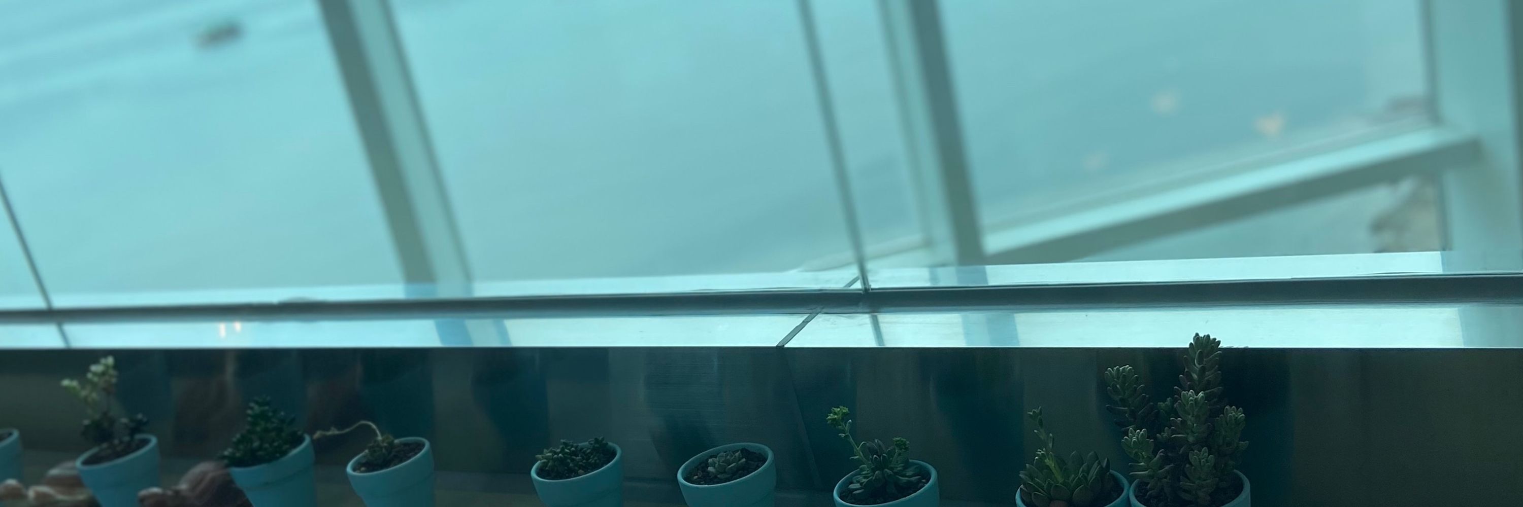현상 
