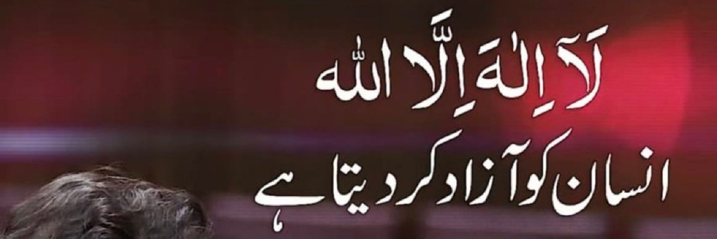 Saima PTi🪡
