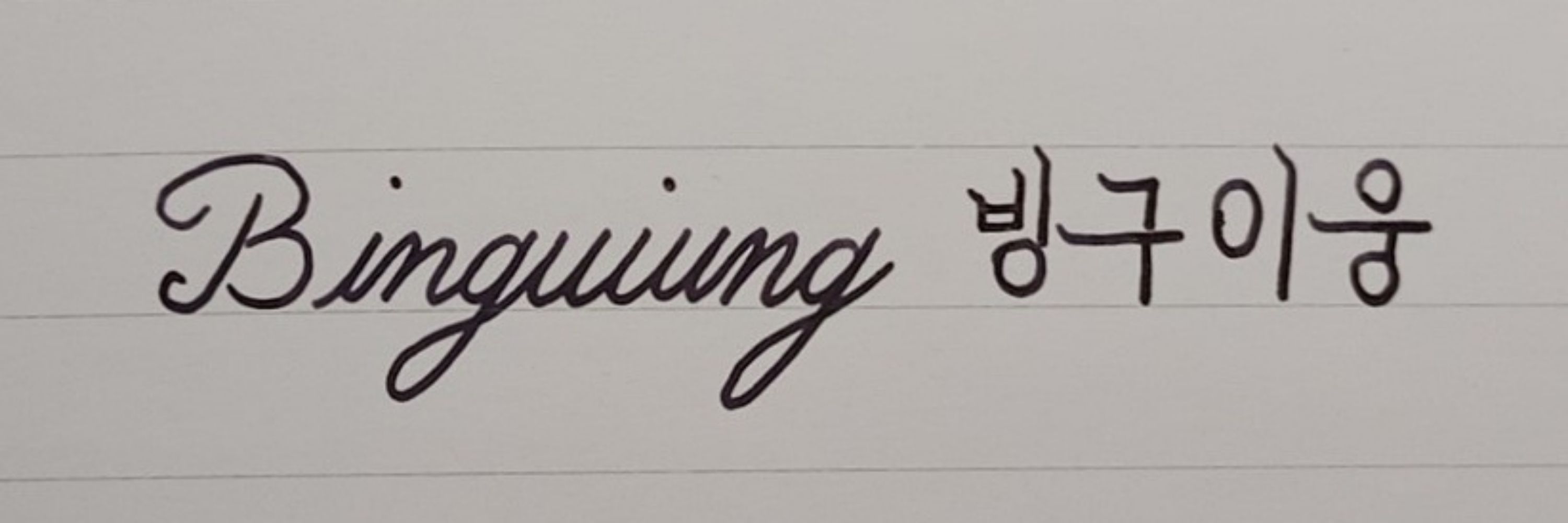 빙구이웅