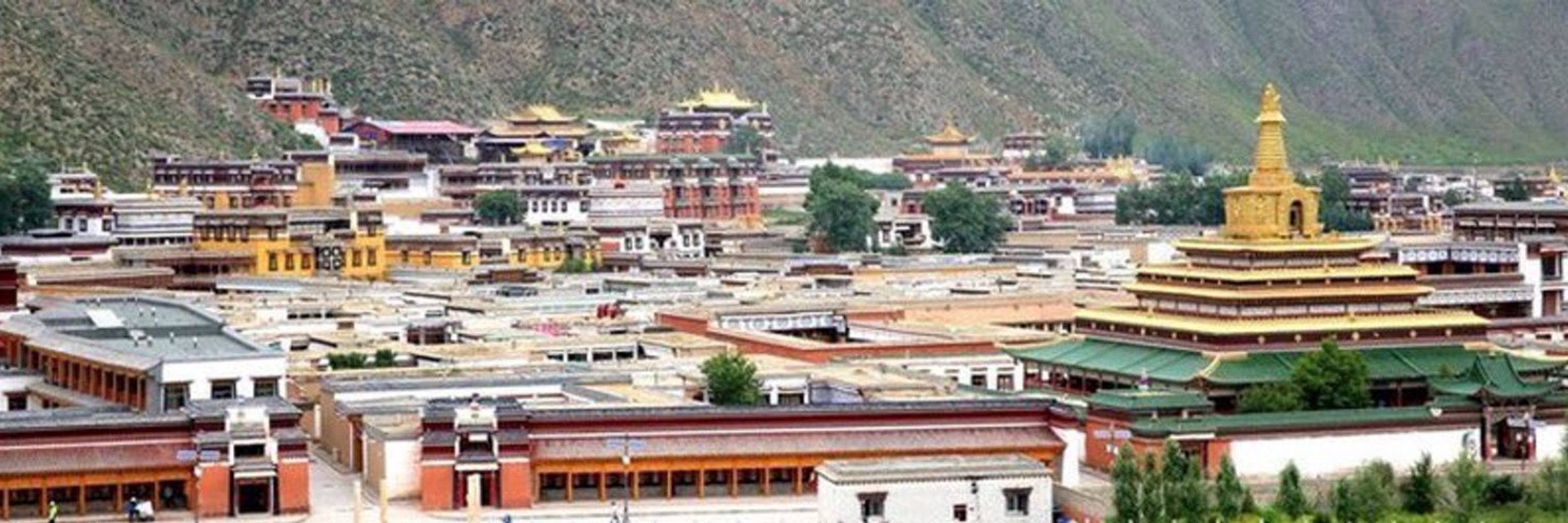 Amdo Research Network