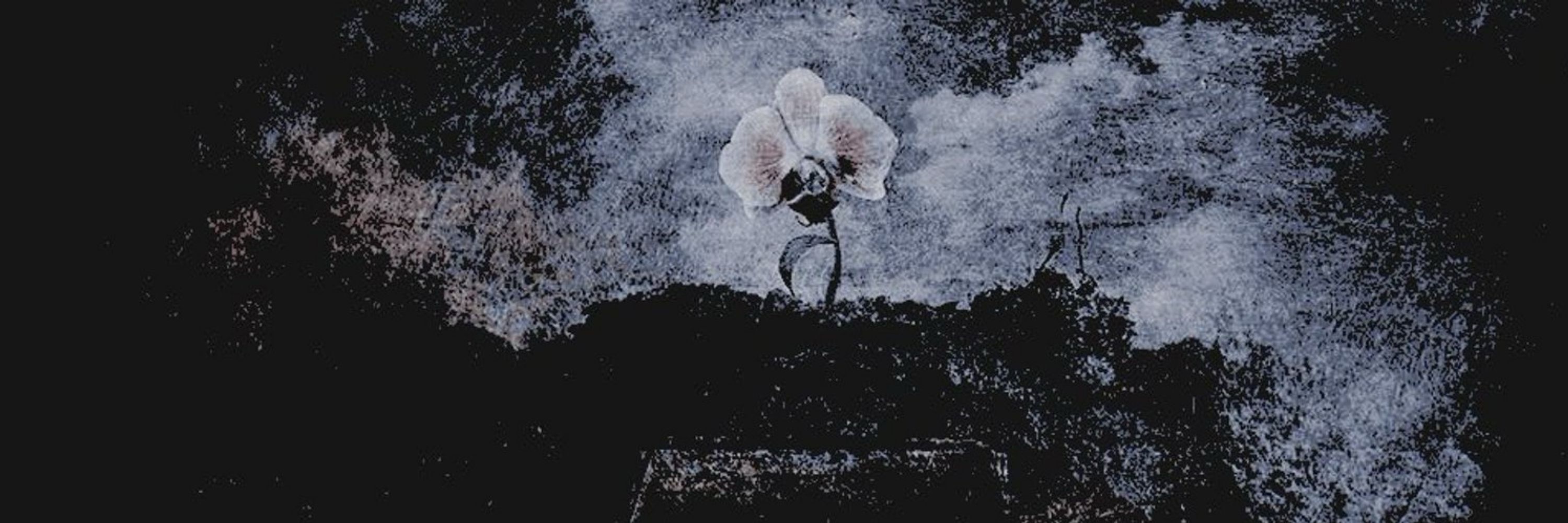 𝕬𝐋𝐎𝐑𝐘𝐀.