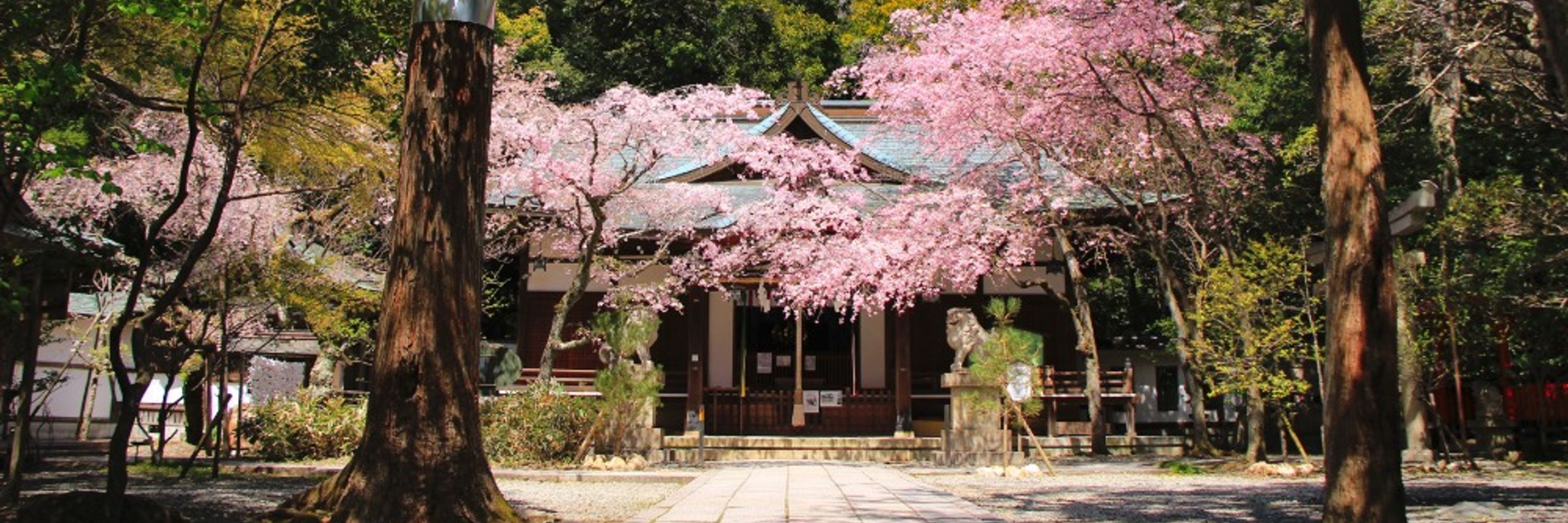 『神社巡遊録』更新情報