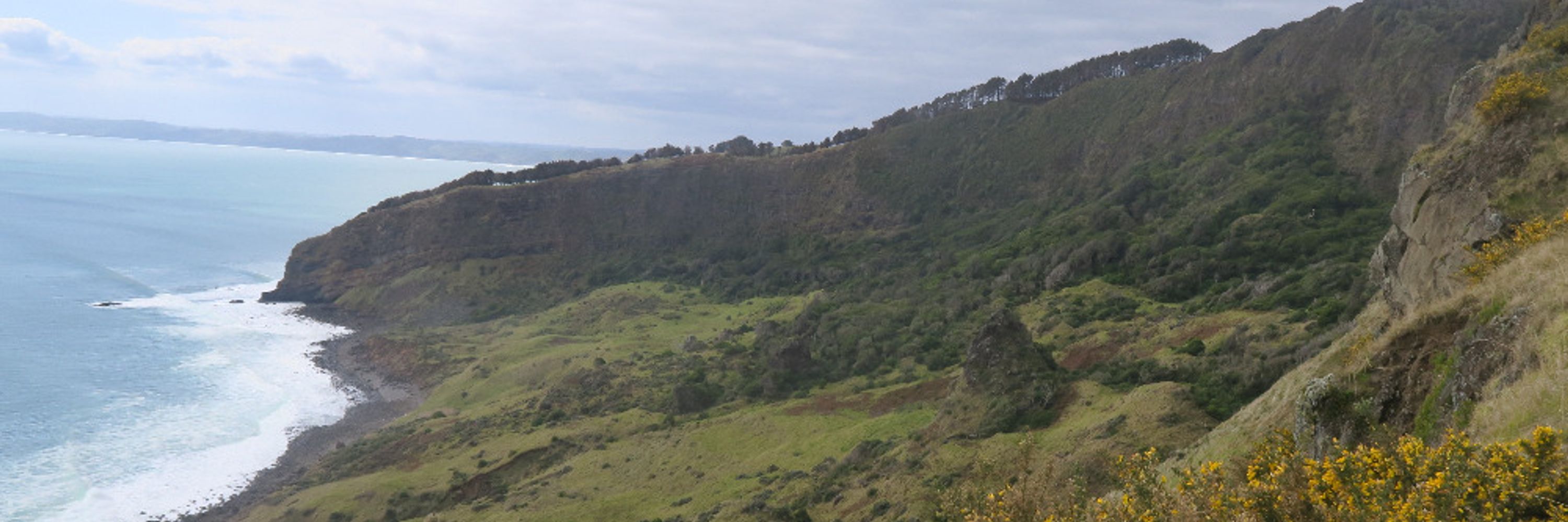 WeatherNZ - Mirror of WeatherWatch and MetService