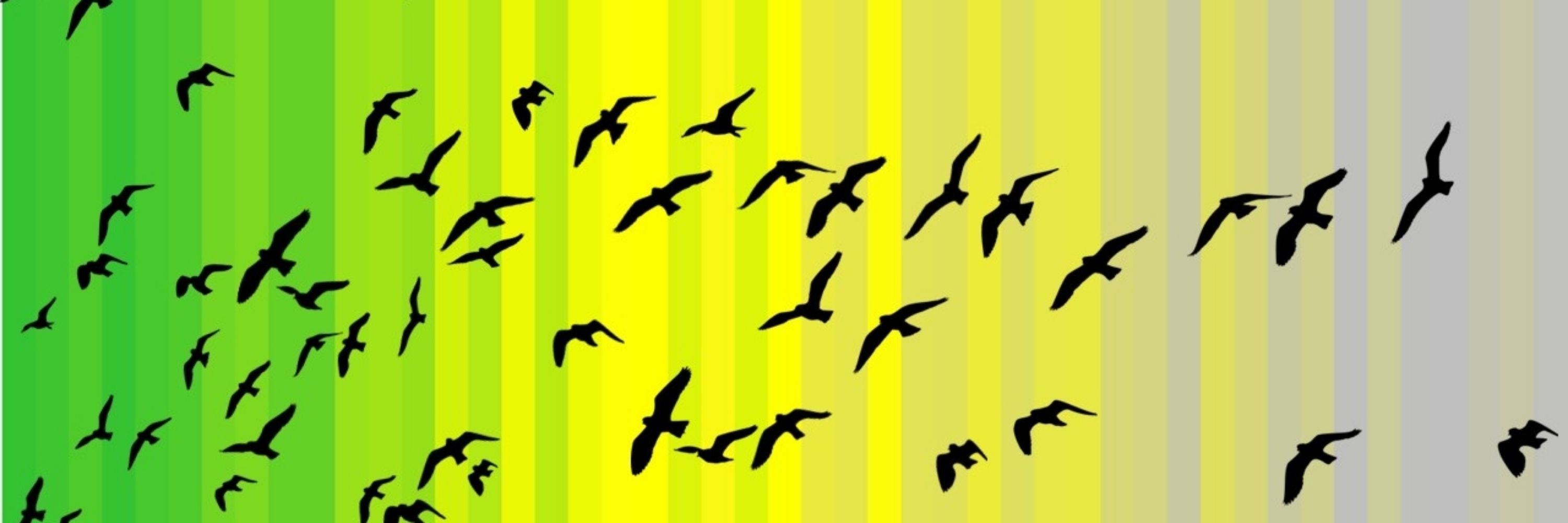 Yduvivier 🌍🇪🇺🐢🌈🍀👽