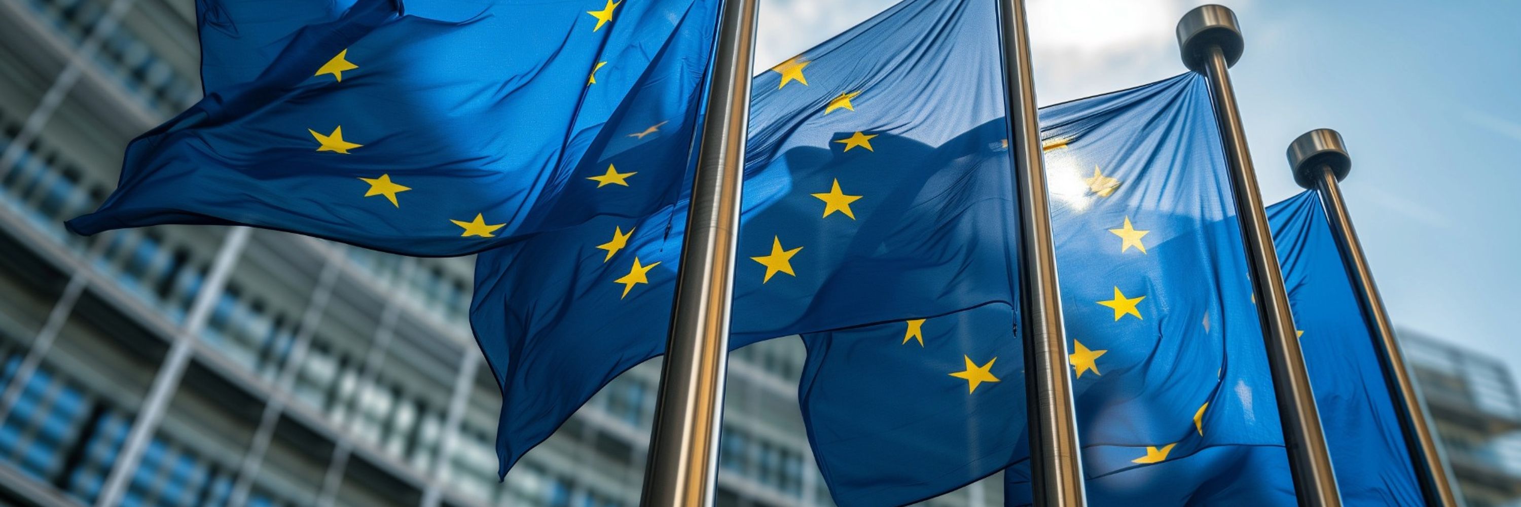 EU-VALUES Network