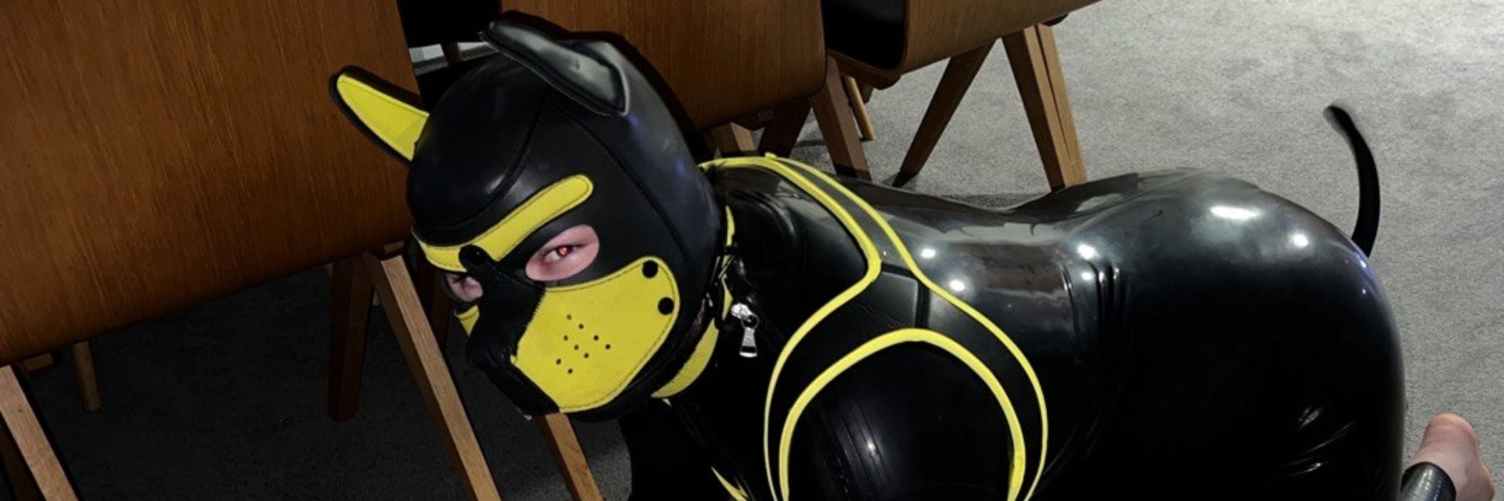 Pup Axel NZ