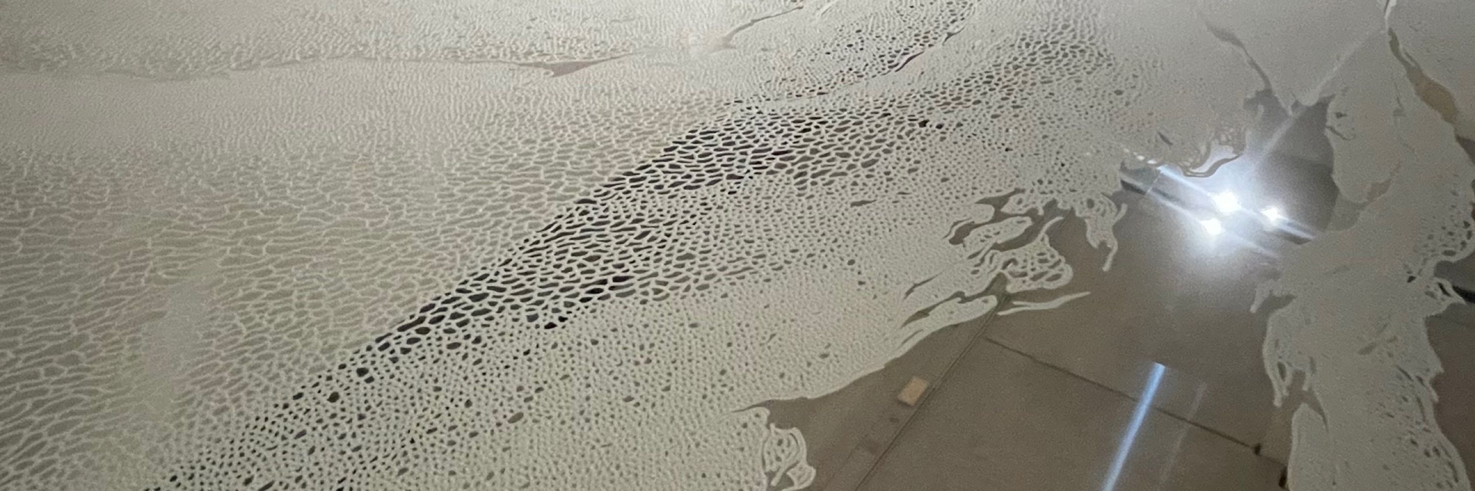 梵