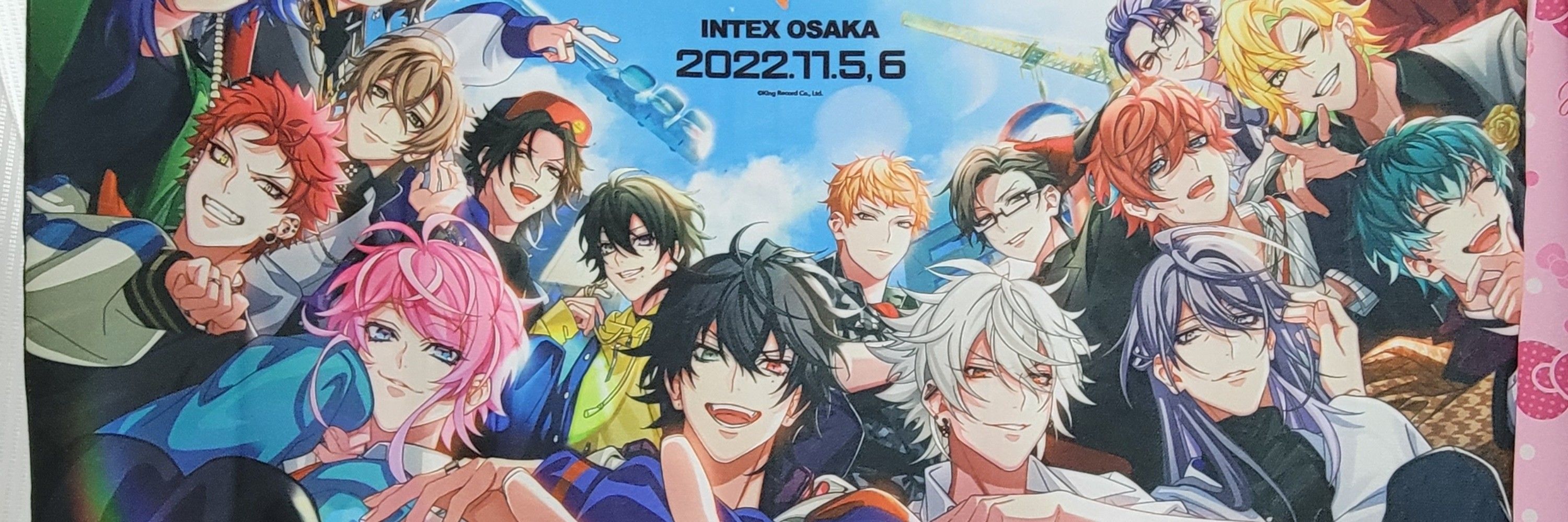 Aika🧡どつファンミ参戦予定