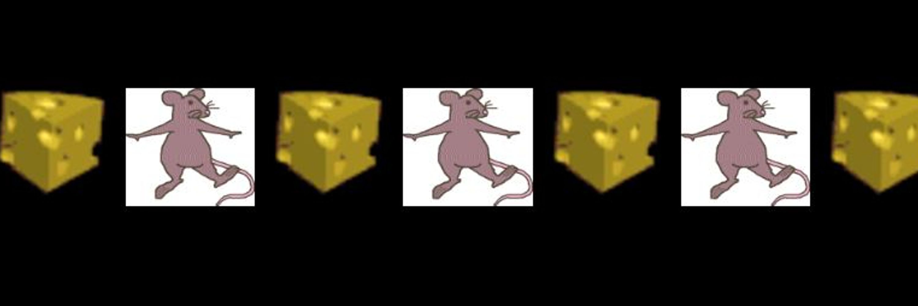 The Rat Zone