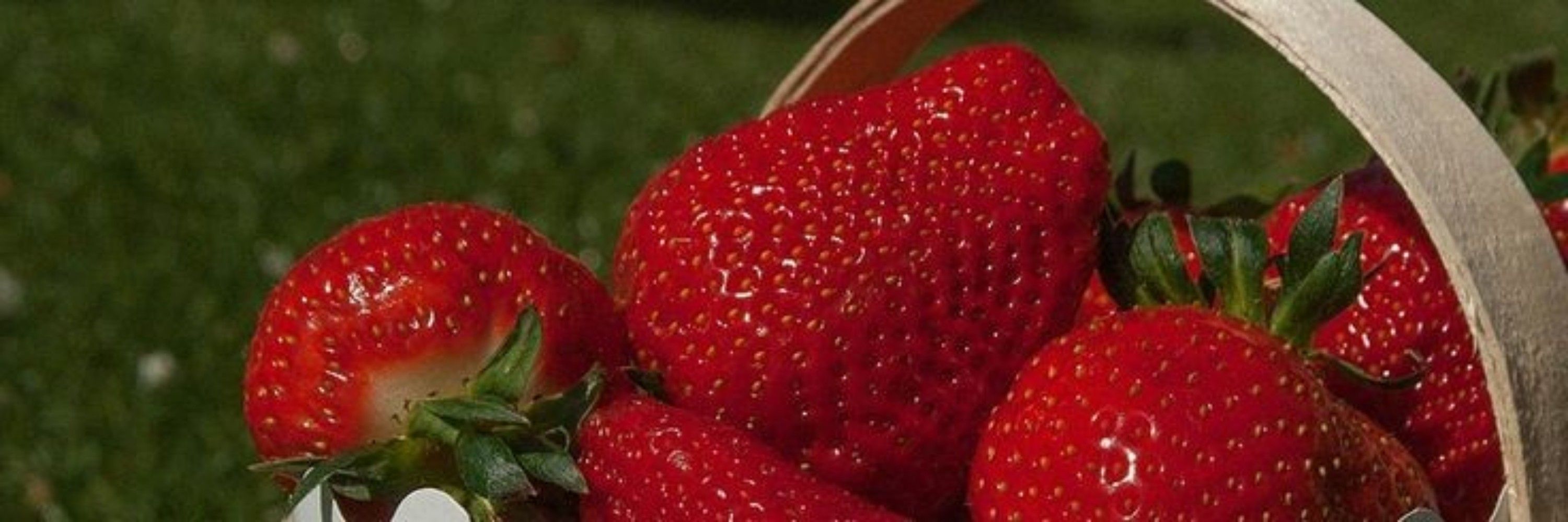 🍓 m ! ʚ♡ɞ