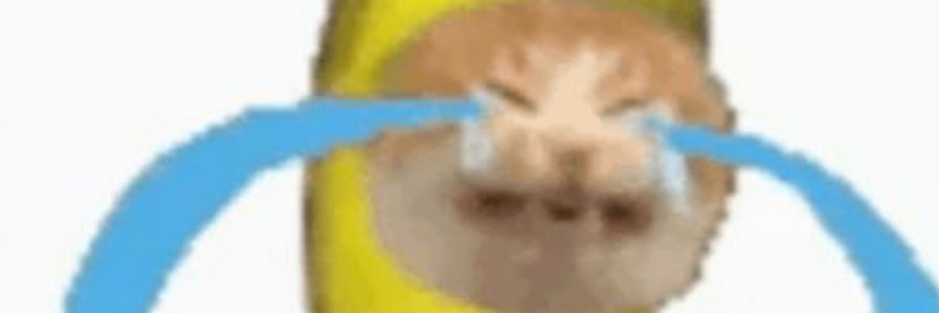 chomby