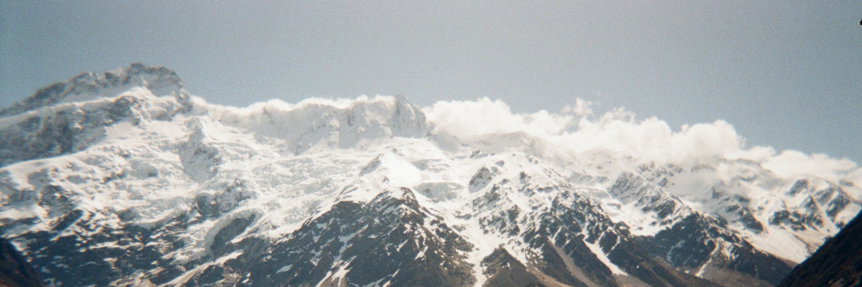 Tim Sneddon