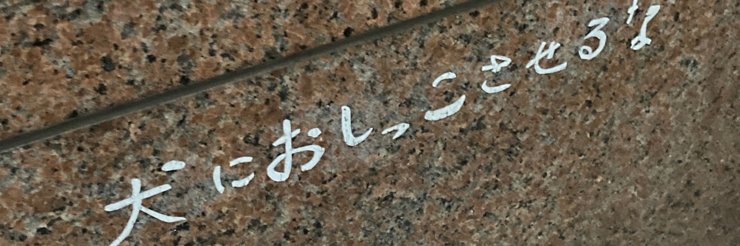 凸口