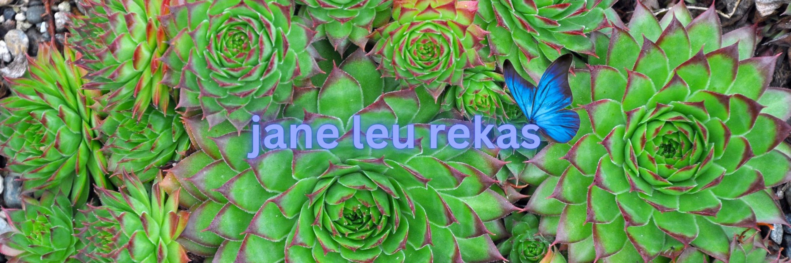 Jane Rekas, LCSW