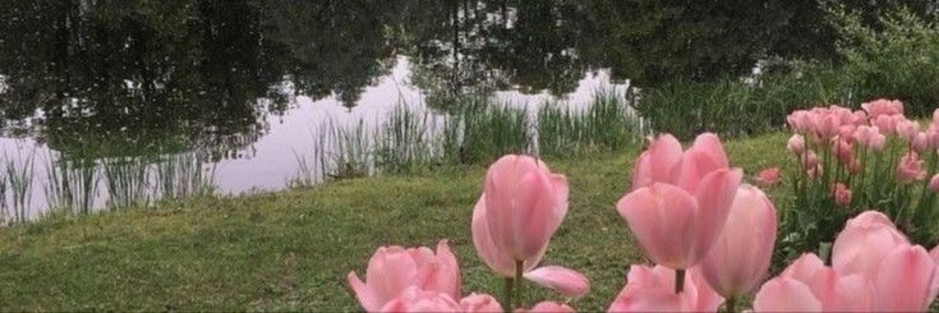 𝙡𝙞𝙫𝙨 