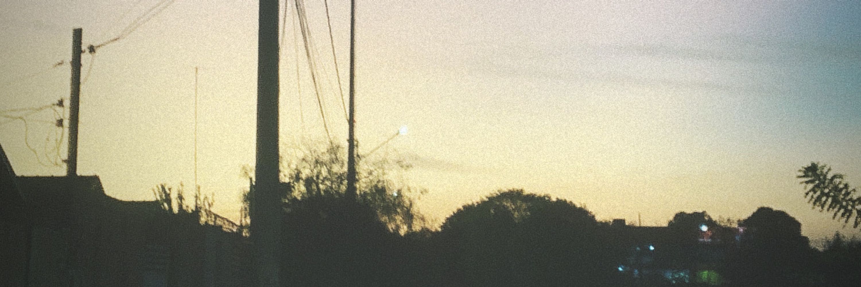 v i a n a 