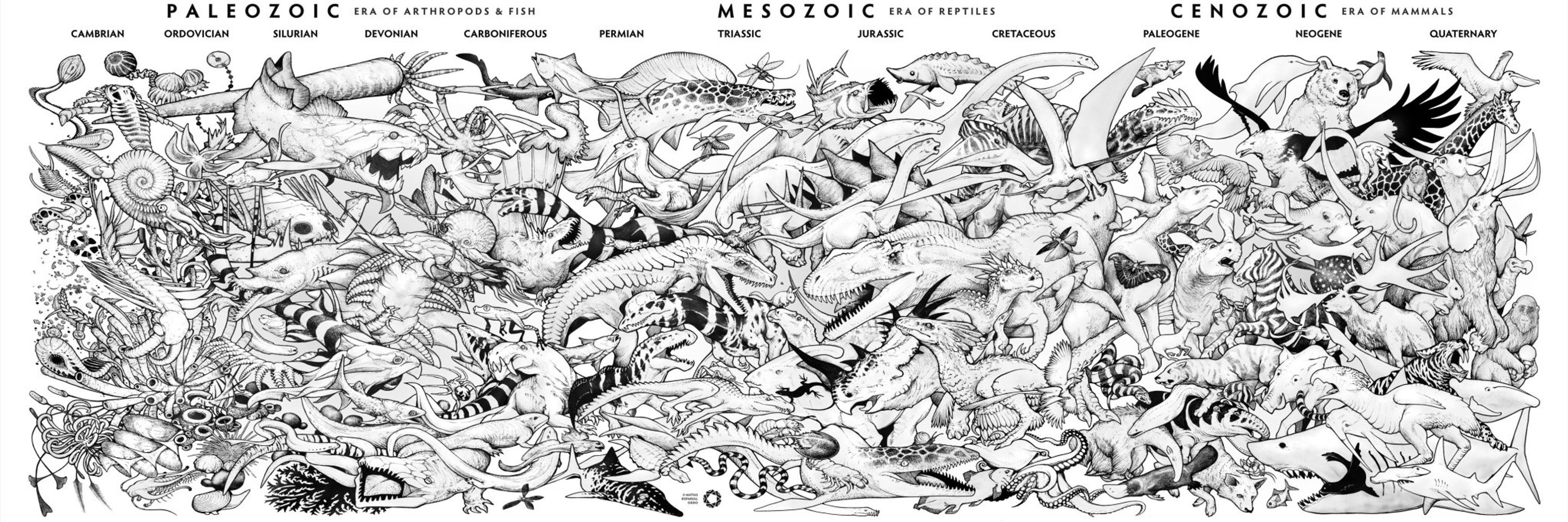 Palaeocast