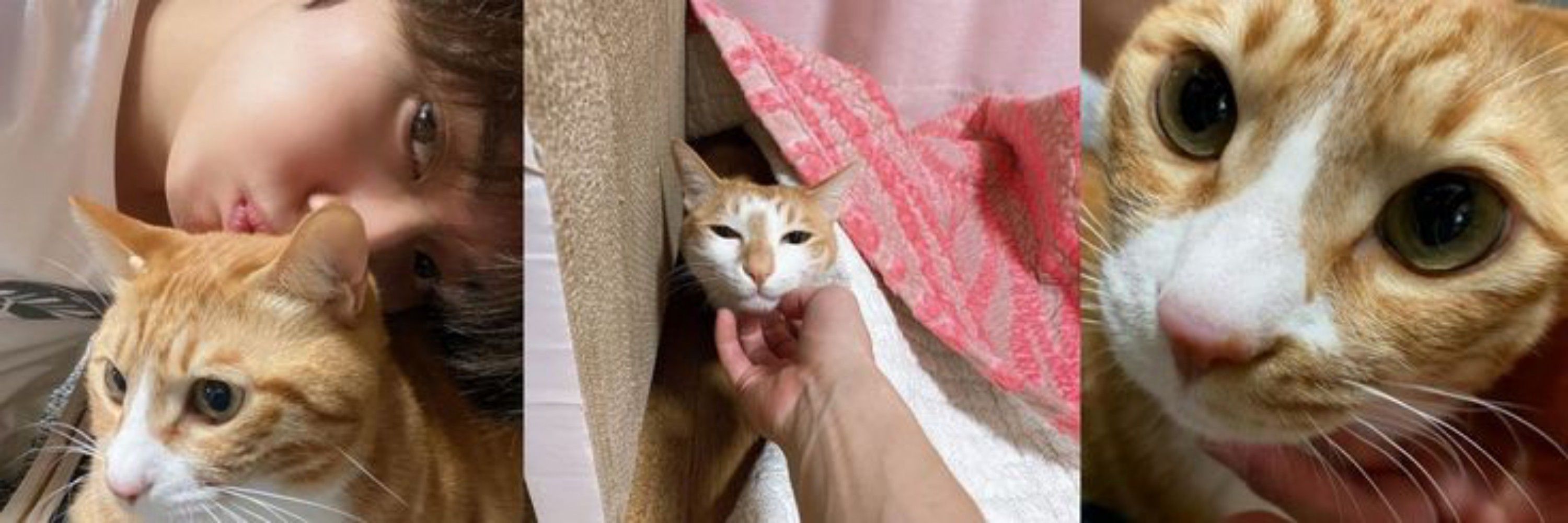 ׁ⍰ᩘ̫⍰ׅ𝒧ׁ𝓛𝘆ׅ֟፝͞𝗇͟ᧉׁ𝒧🐈ᩧ̼⃞⃝