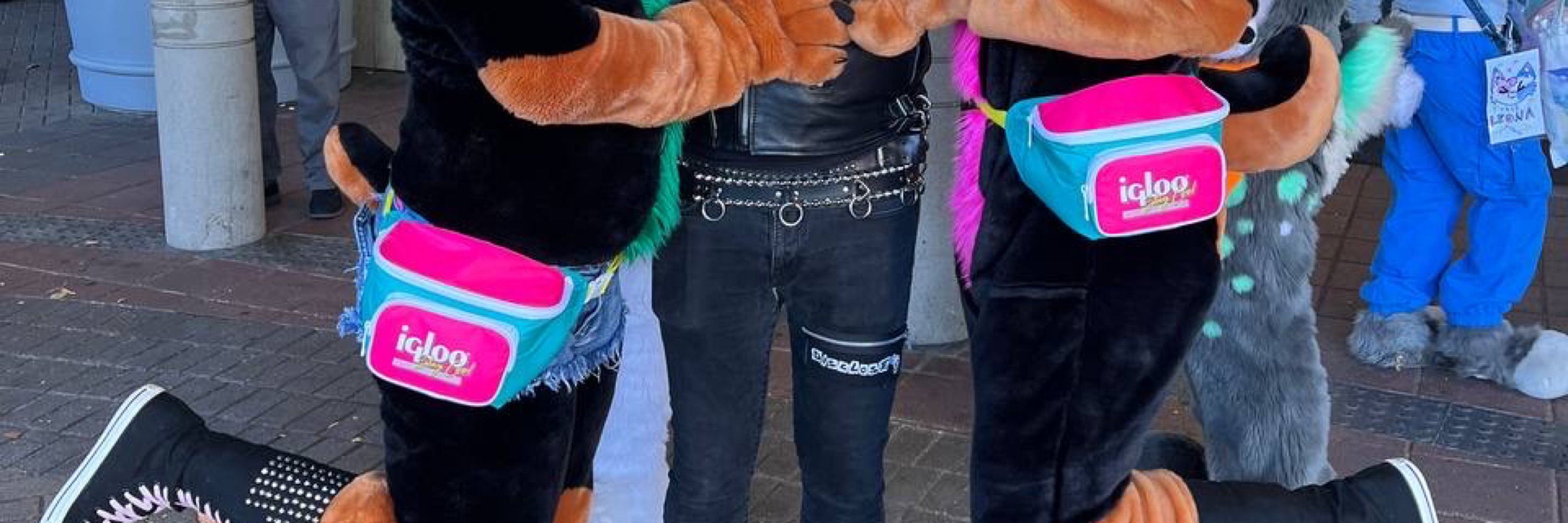 Drewberman the Doberman ➡️ANE