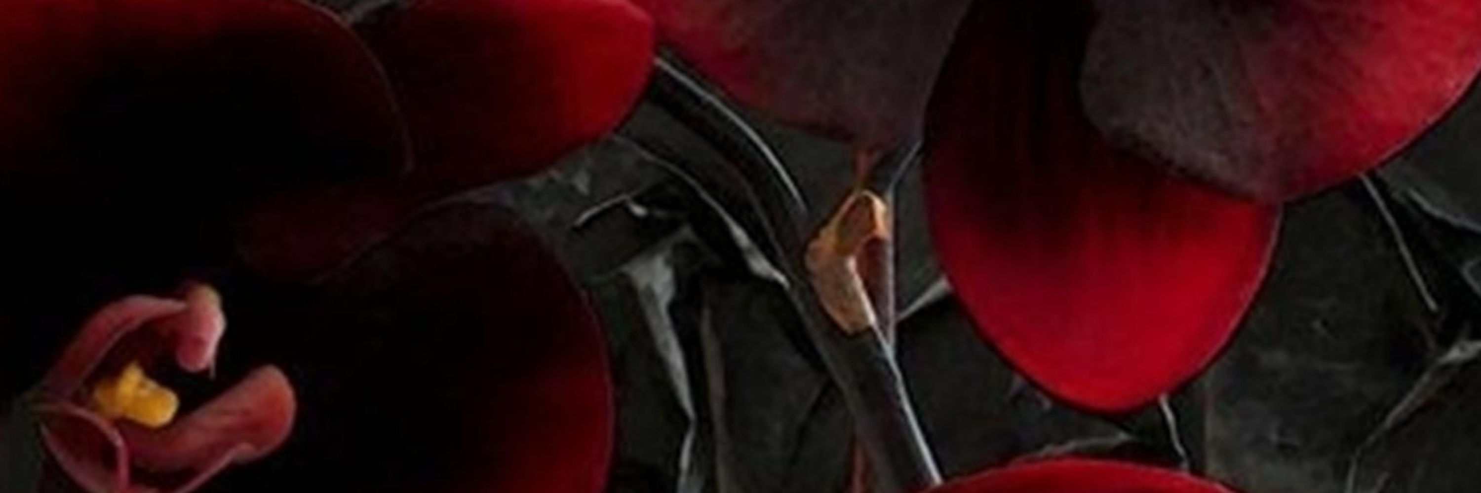 Honoring the Darkness