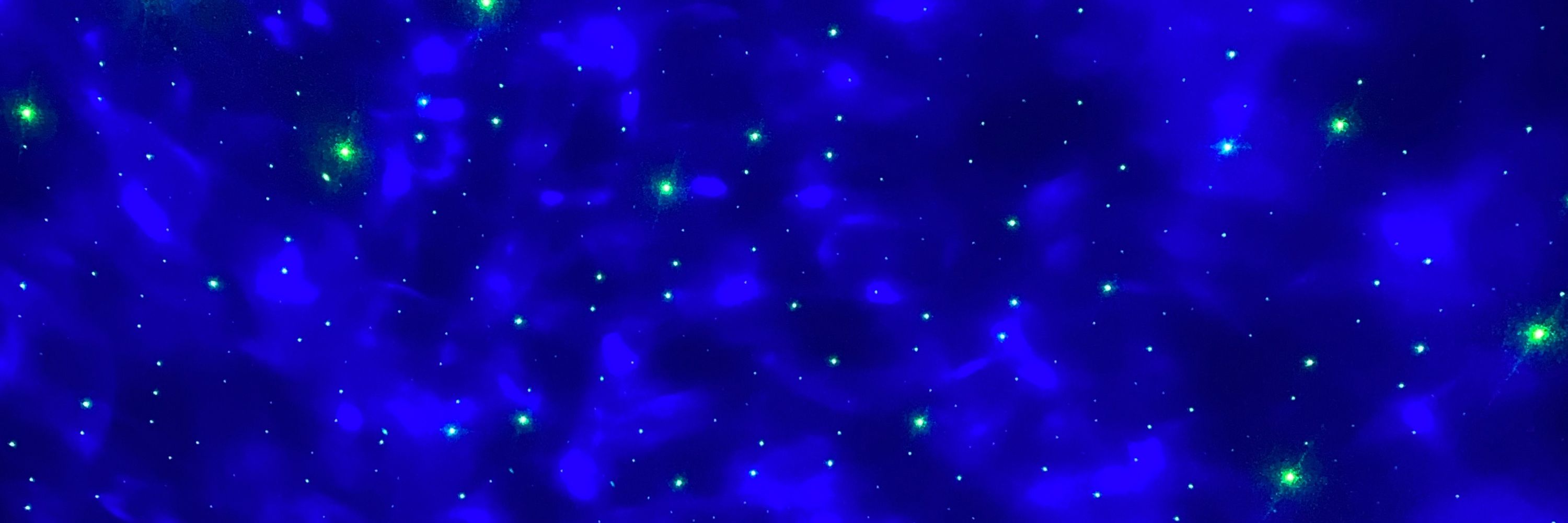 💫