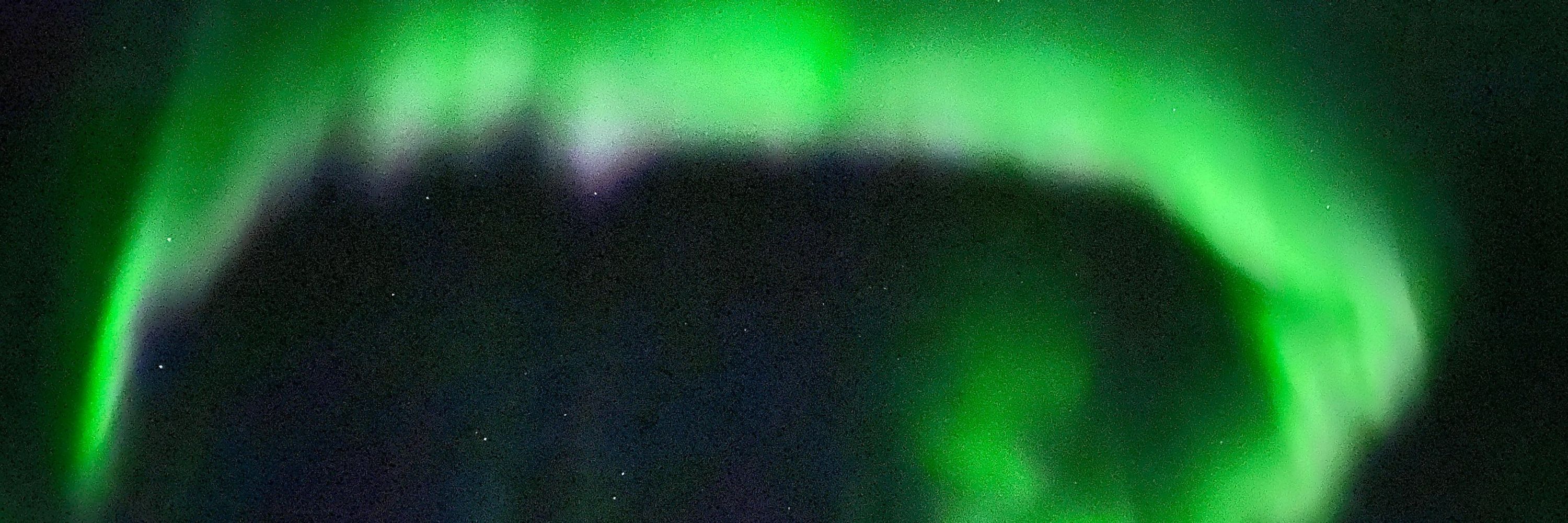 いかくコ:彡