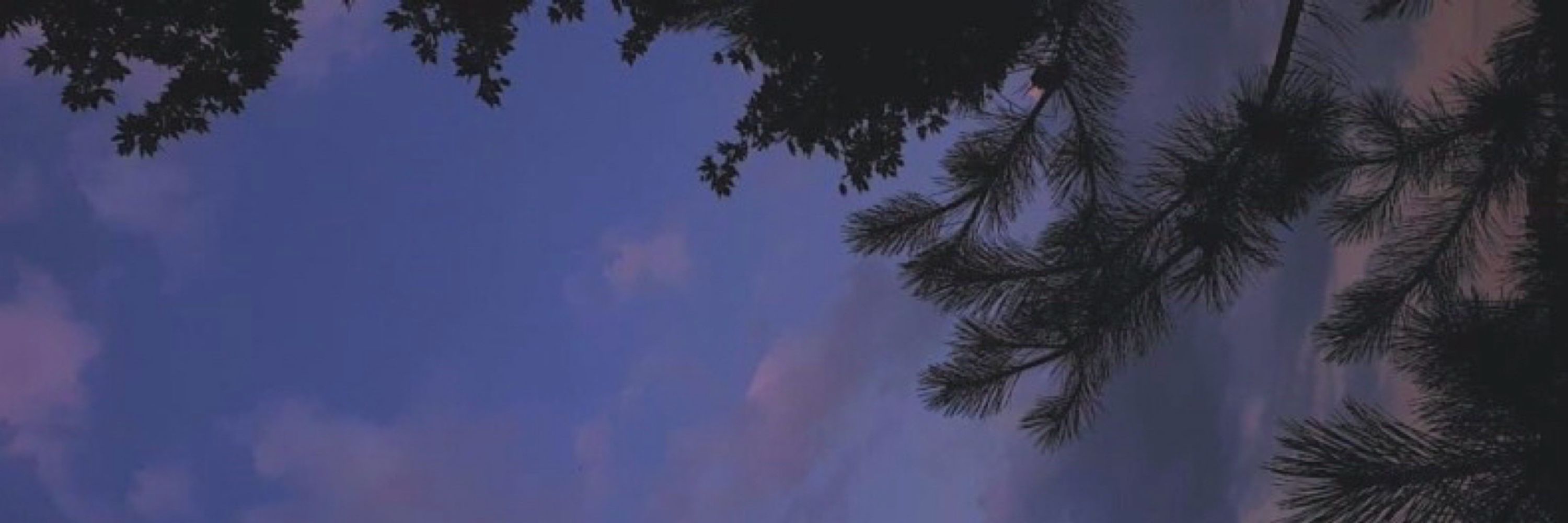 𝓬𝓱𝓪𝓷