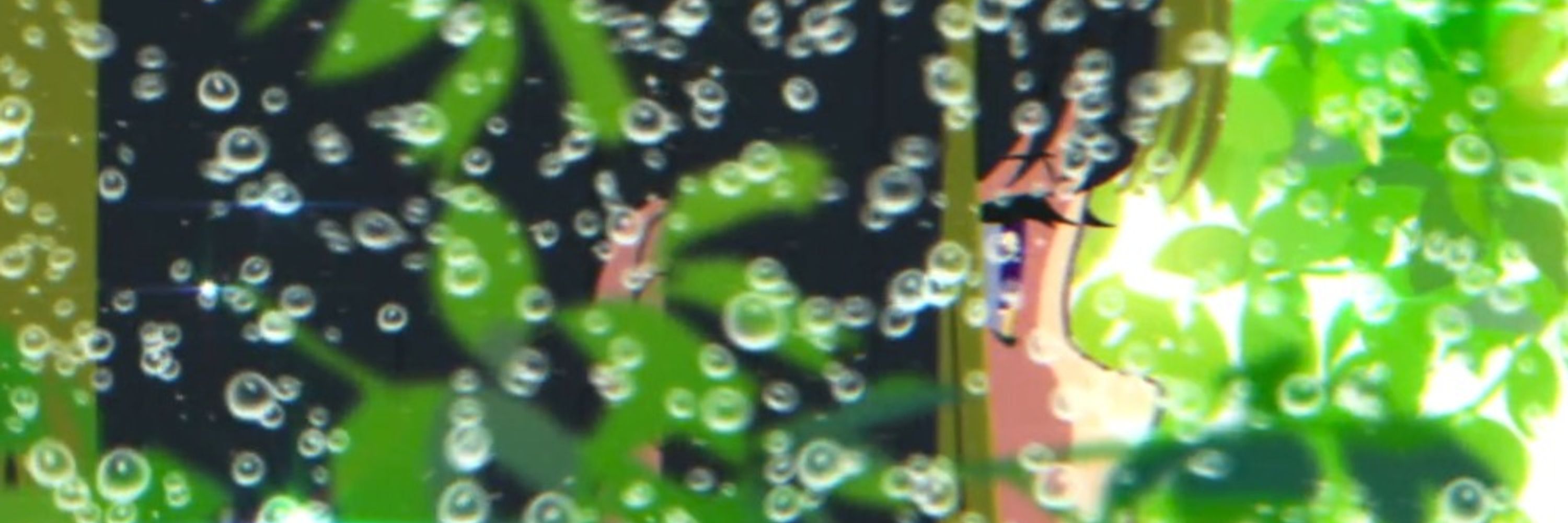 オルガ