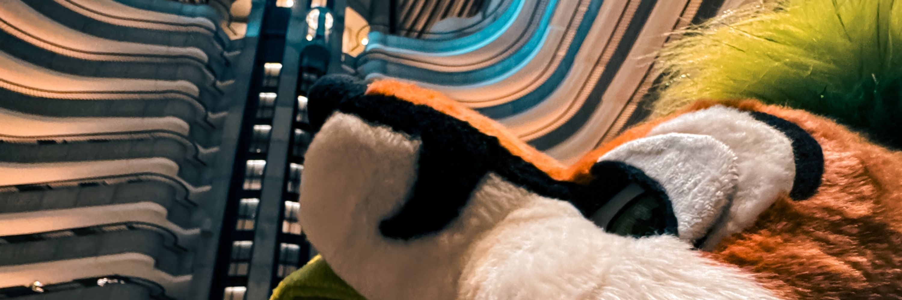 banner