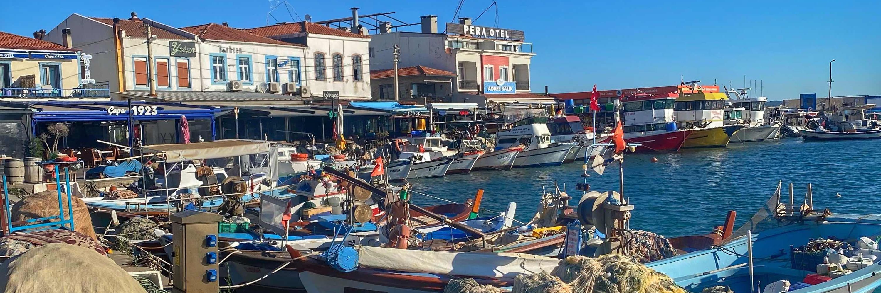 Semra Yeşil