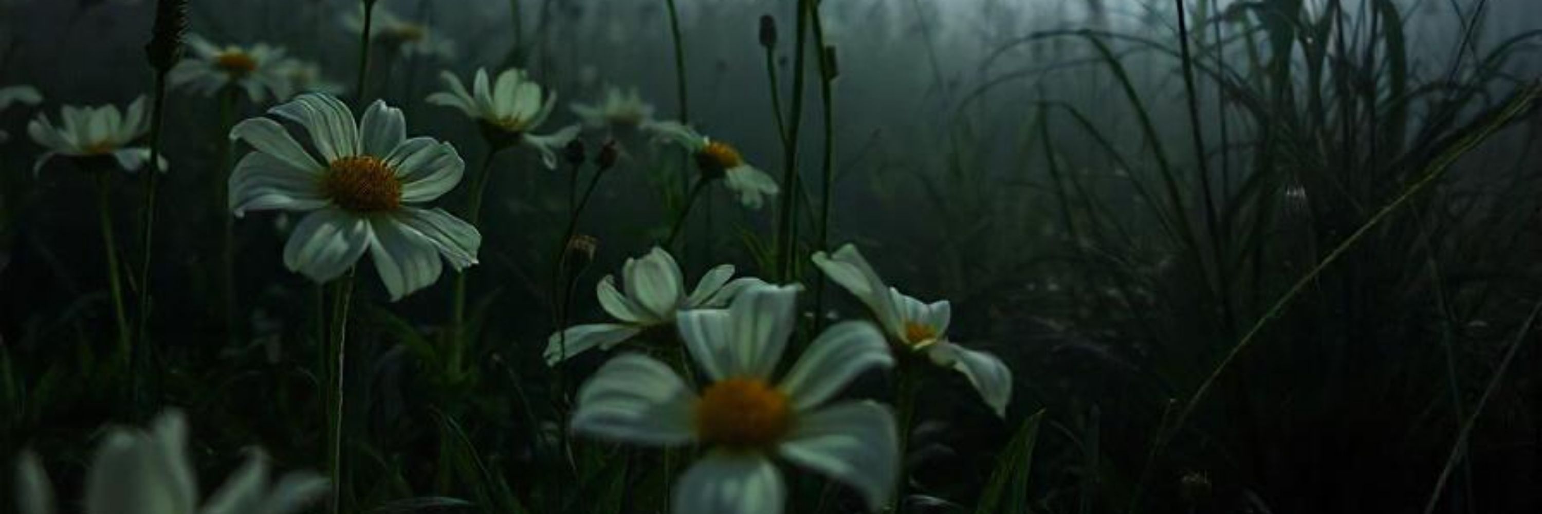 Jenx Byron