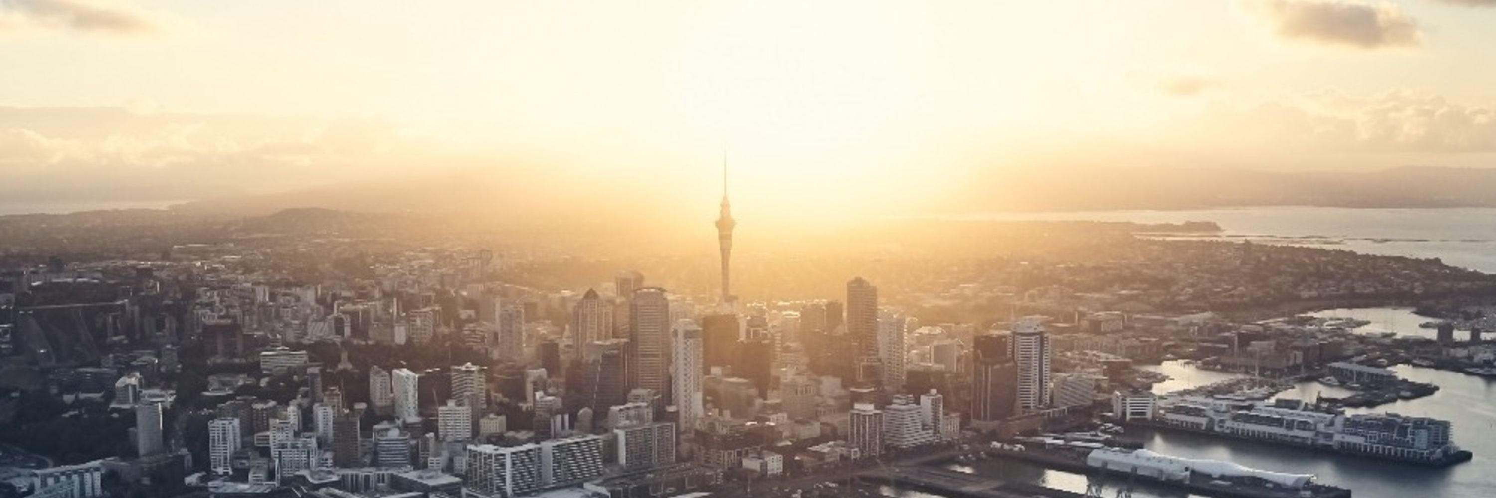 University of Auckland | Waipapa Taumata Rau
