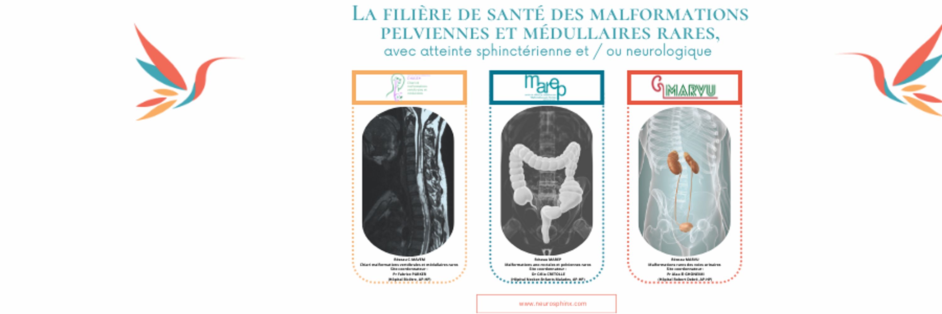 Filière NeuroSphinx