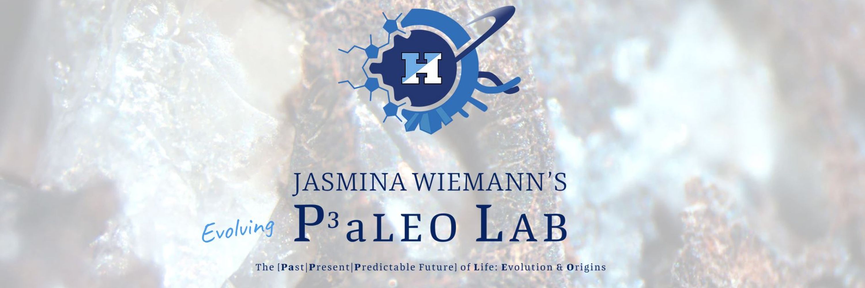 Dr. Jasmina Wiemann